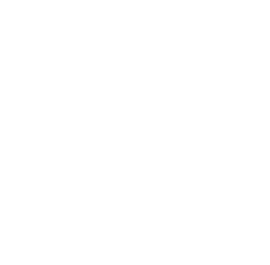 7N logo.