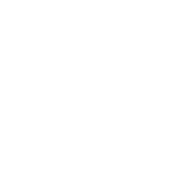 Rodenstock corporate logo.