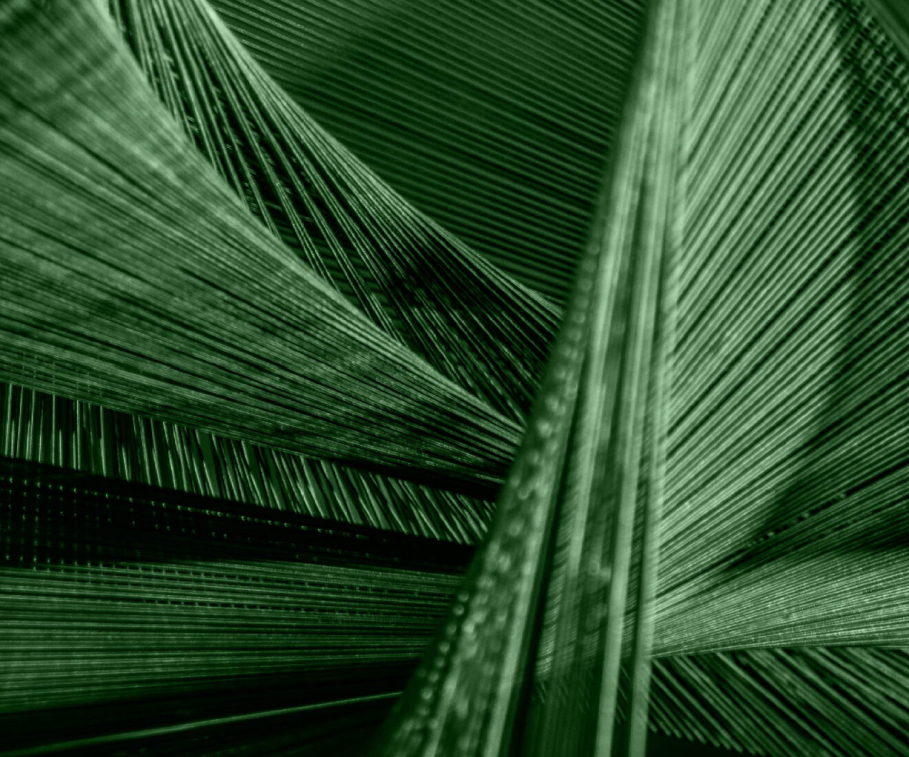 Close-up of green textile threads crossing in dense, layered patterns.