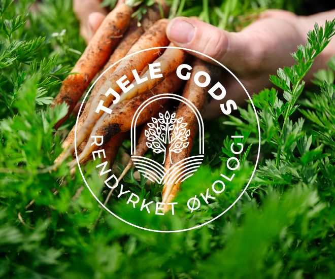 Fresh carrots with the Tjele Gods logo.